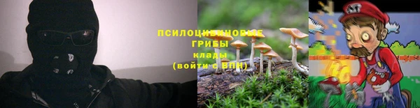 прущая мука Алзамай