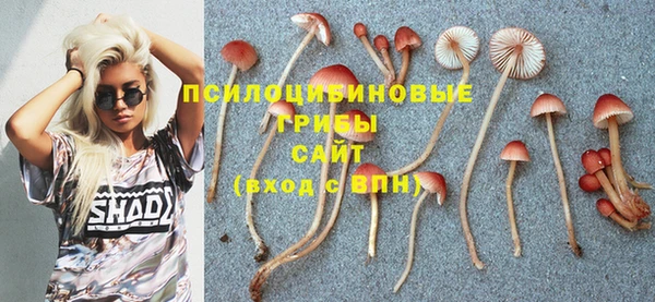 бутират Алексин