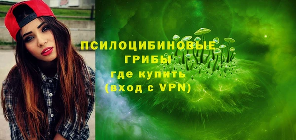 хмурый Алексеевка