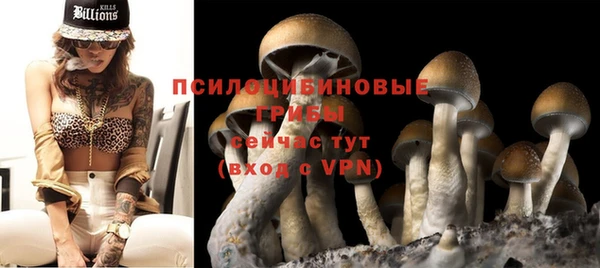 сатива Семилуки
