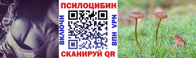 Галлюциногенные грибы мухоморы  Заволжск 