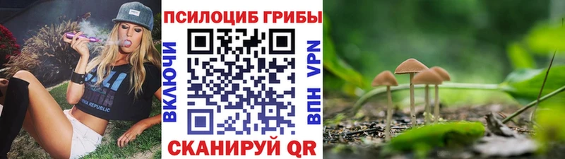 Галлюциногенные грибы Cubensis Заволжск